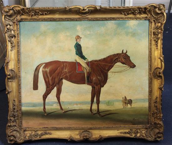 After John Frederick Herring Jockey and racehorse 24 x 29in.